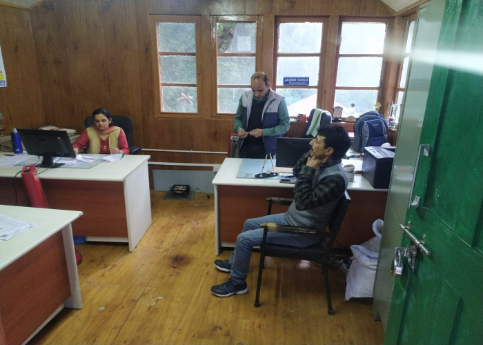 College of Business Studies